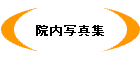 髯｢蜀��逵滄寔